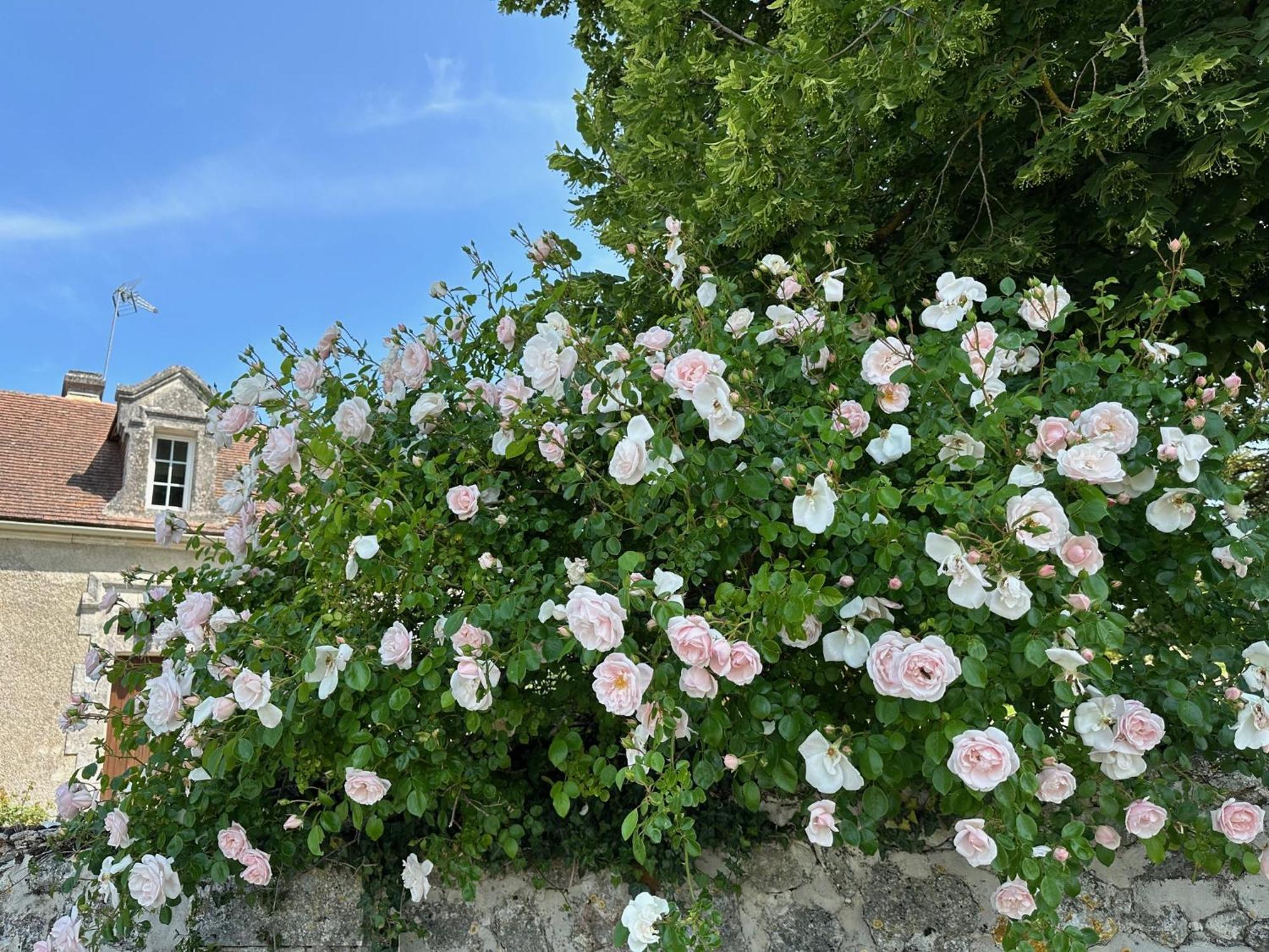 Hotel & Spa Chateau De La Cote - Brantome Biras Exterior photo